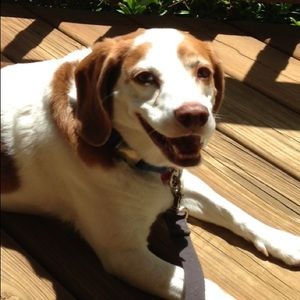 Meet your Posher, Julie ann